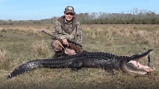 Hunting Florida Hogs and Gators – 2015