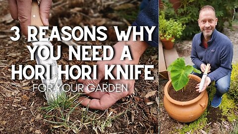 3 Reasons Why You Need a Hori Hori Garden Knife #shorts 🌿