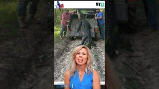 Massive Alligator Caught in East Texas