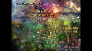 To Bathe in Eternal Rain