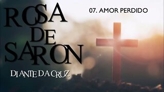 ROSA DE SARON (DIANTE DA CRUZ | 1995) 07. AMOR PERDIDO ヅ