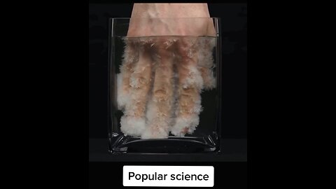 Amazing Science Experiments 😲