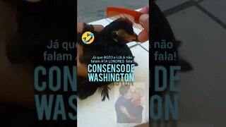 Penteando cabelo do Pinto e mandando os BOLSOTROUXAS e PETISTAS pesquisar o CONSENSO DE WASHINGTON