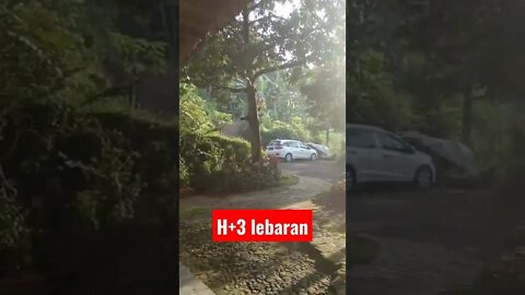 H+3 Lebaran | Suasana pagi di kampung