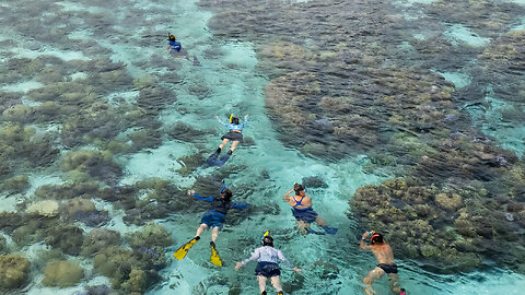 Tahaa Drift Snorkel ... French Polynesia
