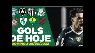 TODOS OS GOLS DO DOMINGO (FANTÁSTICO) 29/05/2022 GOLS DO BRASILEIRÃO SÉRIE A, C E+