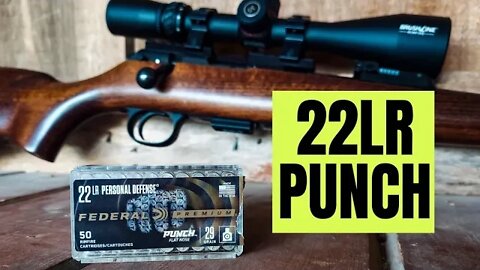 22LR Federal PUNCH out of Rifles...