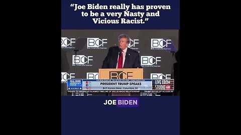 🤔 Is Joe Biden racist?