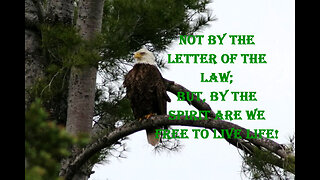 The Letter Of The Law Kills; The Spirit Gives Life
