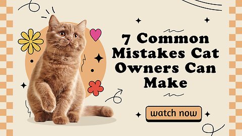 7 Common Mistakes Cat Owners Can Make. #cat #catowners #catlovers