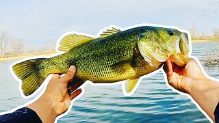Catching Big Pre-Spawn Largemouth Bass in the Ponds of Colorado!