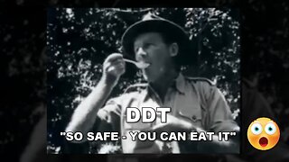 DDT - LET'S PUT IT EVERYWHERE