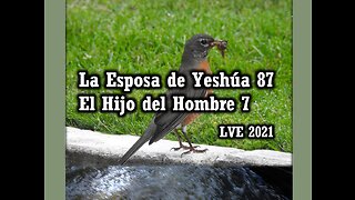 La Esposa de Yeshúa 87 - El Hijo del hombre 7