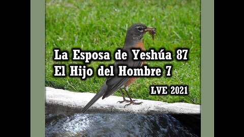 La Esposa de Yeshúa 87 - El Hijo del hombre 7