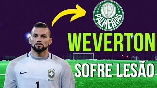 WEVERTON RETORNA DA SELEÇÃO BRASILEIRA PARA O PALMEIRAS APÓS LESÃO