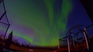 Aurora Borealis Northern Lights | #Shorts