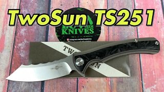 TwoSun TS251 “Great Wall” / includes disassembly/ Wong design another great offering !
