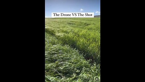 Drone short #drone