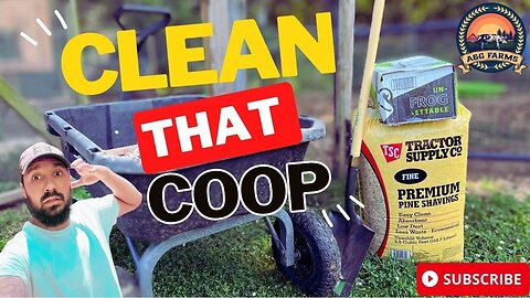 ODOR FREE CHICKEN COOP AS LONG AS YOU DO THIS..