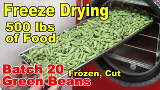 Freeze Drying Your First 500 lbs of Food - Batch 20 - Green Beans, Frozen, Cut