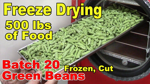 Freeze Drying Your First 500 lbs of Food - Batch 20 - Green Beans, Frozen, Cut