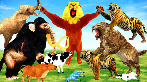 10 Elephants Vs 10 Giant Tiger Lion attack Cow Cartoon saved by Woolly Mammoth Vs Saber Tooth Tiger