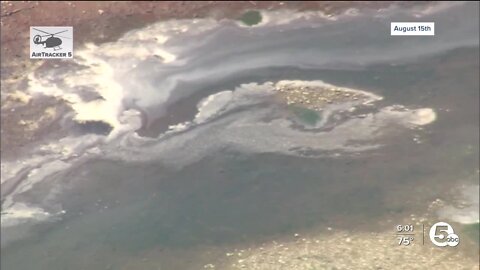 Ohio EPA cleaning up nontoxic soybean oil spill in Grand River in Lake County