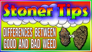 STONER TIPS #6: DIFFERENCE BETWEEN GOOD AND BAD WEED