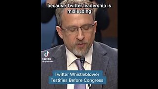 ‼🚨‼TWITTER WHISTLE BLOWER PETER ZATKO AKA MUDGE EVEN TESTIFIED THAT HACKERS CAN TWEET AS ANYONE‼🚨‼