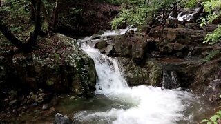 Música Para Meditação - Flauta com cantos de pássaros e barrrulho de cacheira