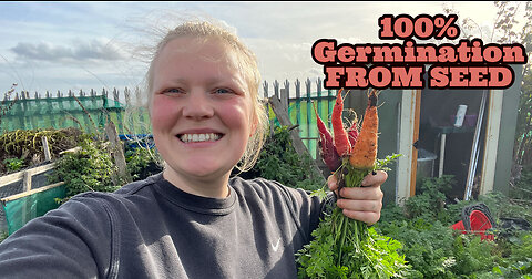 Planting Carrots from Seed: A Step-by-Step Guide to Successful Germination and Growth