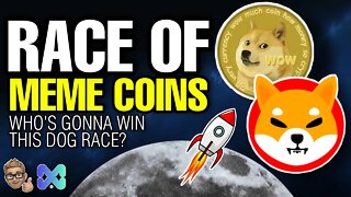 SHIBA VS DOGE | DOG RACE | MARKET UPDATE