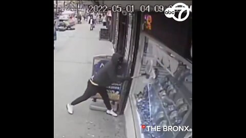 Smash & Grab In The Bronx In Broad Daylight