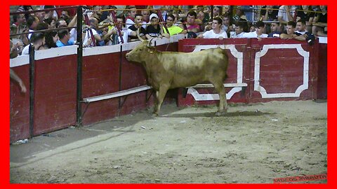 CADREITA ( NAVARRA ) TARDE VACAS EN PLAZA ( LUNES 17 JULIO 2023 ) GANAD.ARRIAZU