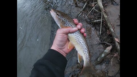 Mad River Trout Fishing Ohio Winter