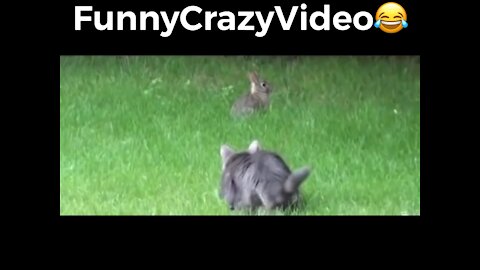 Mr FunnyCrazyVideo😂 Just Incredible Video Funny and Crazy #Like Follow for Follow 🥰