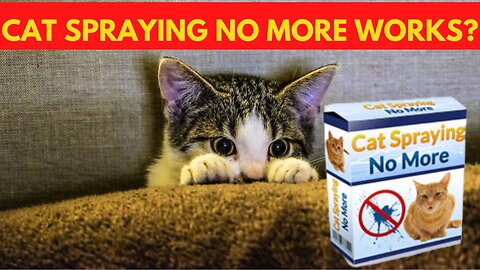 CAT SPRAYING NO MORE WORKS?- REVIEWS