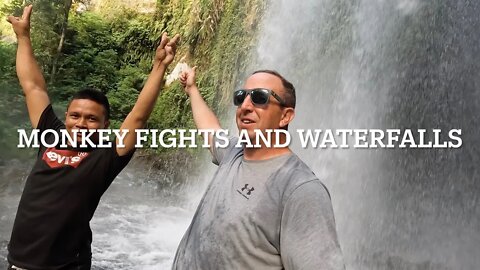 Monkey fight at Sendang Gile Waterfall, Lombok Indonesia