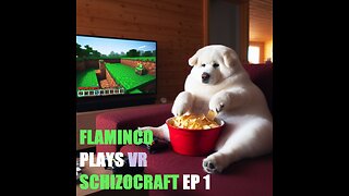 FLAMPLAYS VR schizocraft ep1: "green top"
