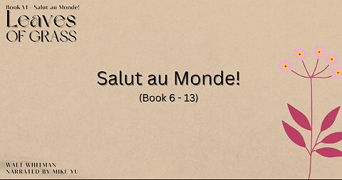 Leaves of Grass - Book 6.13 - Salut au Monde! - Walt Whitman