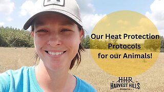 Harvest Hills Ranch Heat Protection Protocols for our Animals!