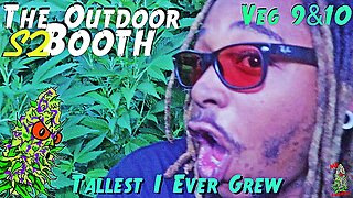 The Outdoor Booth S2 | Veg Weeks 9 & 10 | The Tallest I Ever Grew