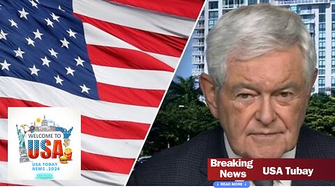 Newt Gingrich: This isn't about MAGA, it's about America