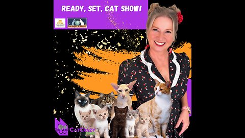 What To Expect When You Visit The San Diego Cat Show!
