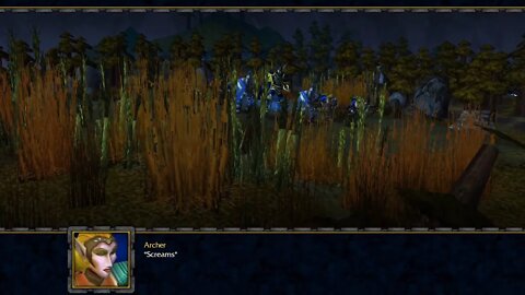 Warcraft 3: Shards of Resistance - Brothers in Arms (2)