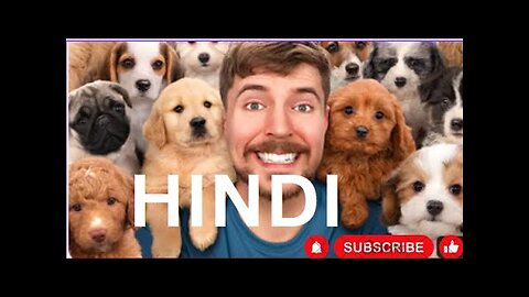 I Rescued 100 Abandoned Dogs ! Full video Hindi Dubbed ! Mrbeast