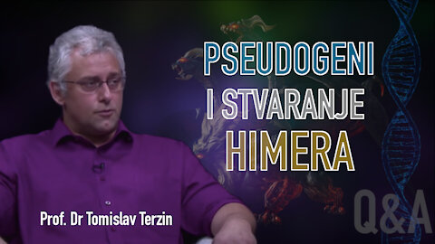 PSEUDOGENI I STVARANJE HIMERA - Prof. Dr Tomislav Terzin