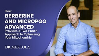 How BERBERINE AND MICROPQQ ADVANCED Provides a Two-Punch Approach to Optimizing Your Mitochondria