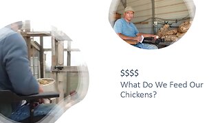 What Do We Feed Our Chickens?