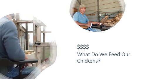 What Do We Feed Our Chickens?